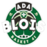 布卢瓦